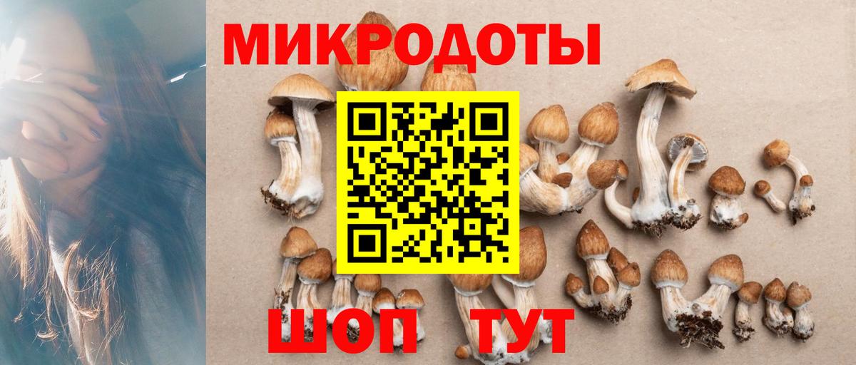 Учалы  Галлюциногенные грибы мухоморы  Вход с VPN 