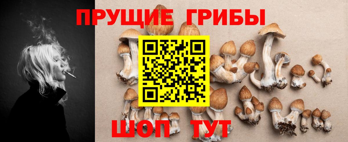 Псилоцибиновые грибы прущие грибы Учалы